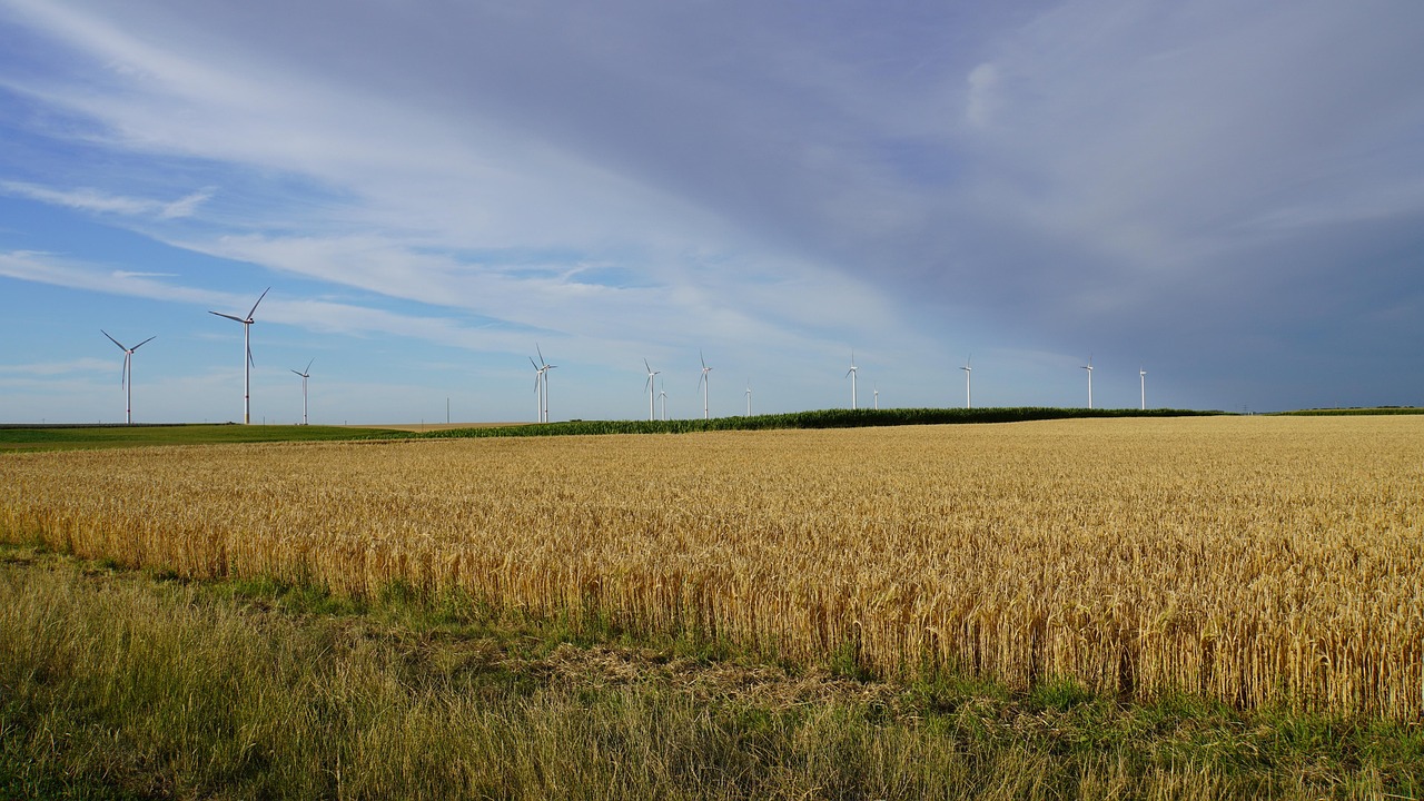 Canicule : Quel est l’impact énergétique et écologique de la climatisation en France ?