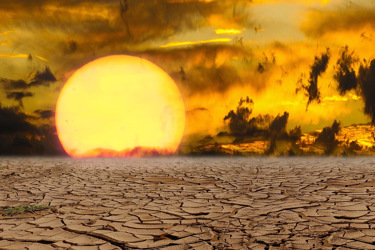Les impacts du changement climatique sur la santé