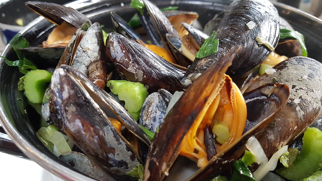 Pollution, empreinte carbone et moules quagga : à la découverte de Léxplore, le navire-plateforme d’observation du lac Léman