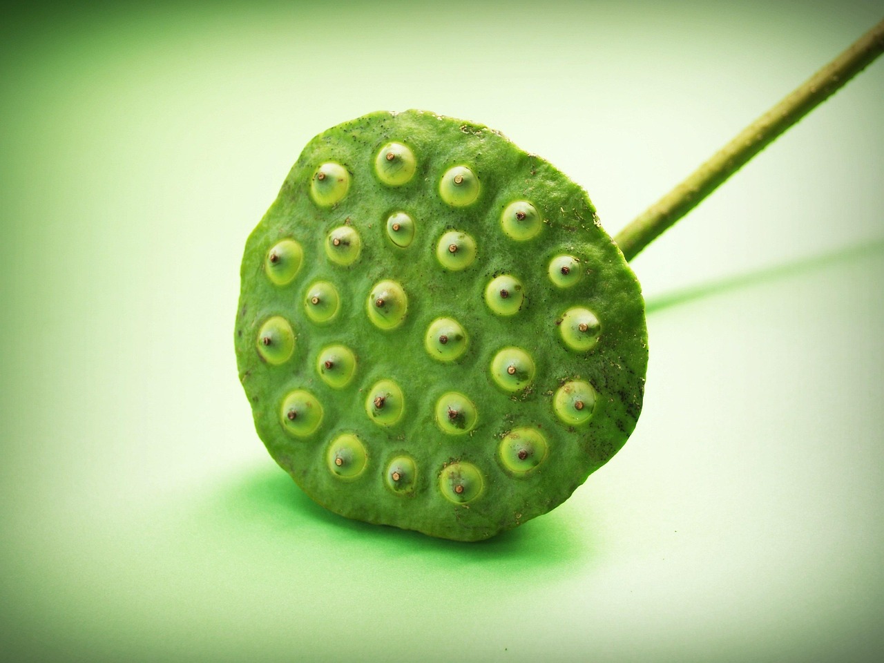 Ce détail souvent ignoré sur les fruits et légumes bio pourrait avoir autant d’importance que leur absence