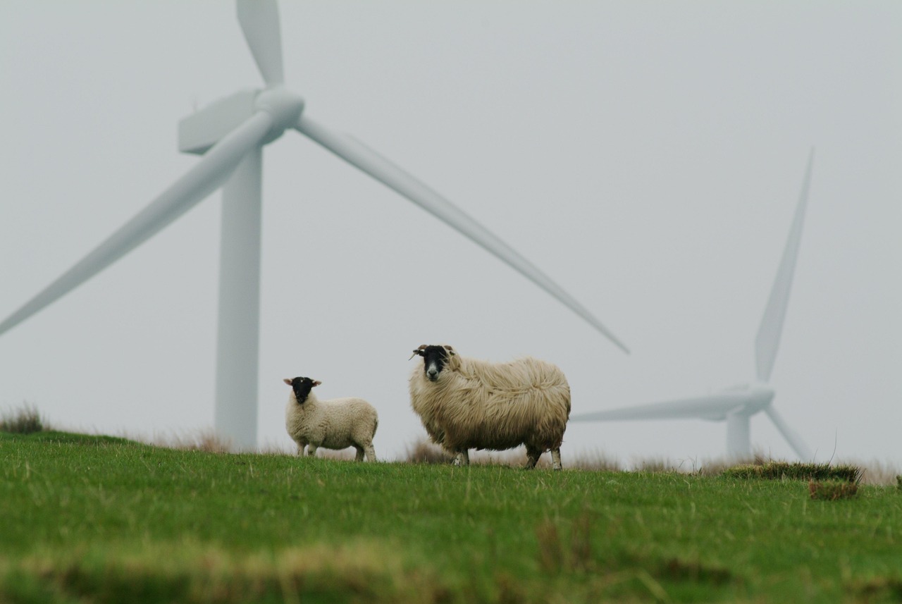 S’engager pour la planète : Les actions incontournables pour un climat durable