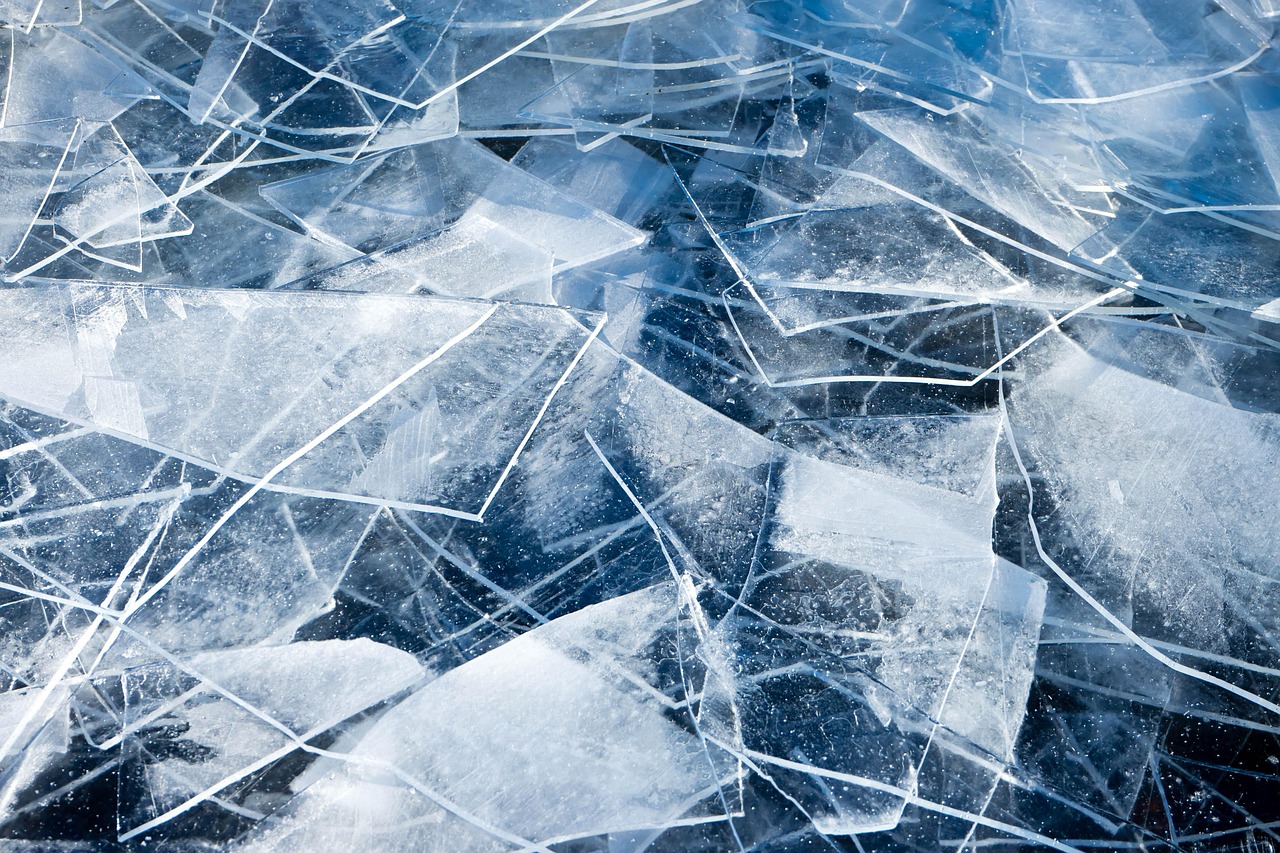 Comment les événements climatiques extrêmes affectent le bilan carbone