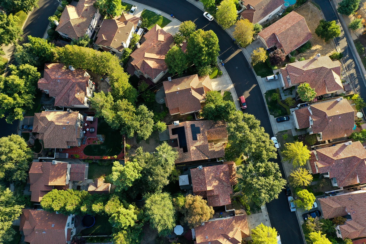 Des aliments révolutionnaires : noix et algues, alliés à un bilan carbone négatif pour lutter contre le changement climatique