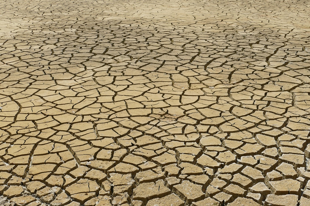 Directives pour le climat : comment agir efficacement contre le changement climatique