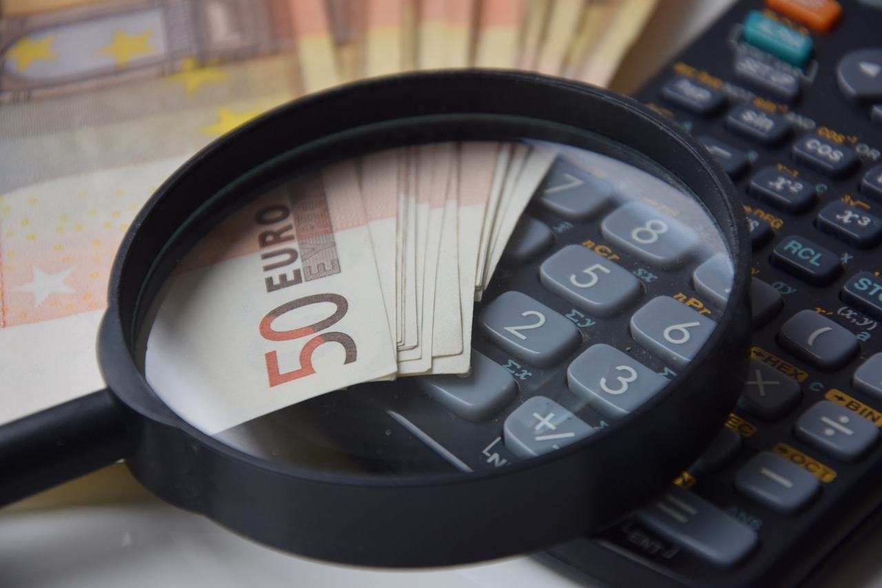 François Gemenne souligne que dans un système capitaliste, le signal des prix s’avère plus performant que les simples exhortations pour la protection de l’environnement.