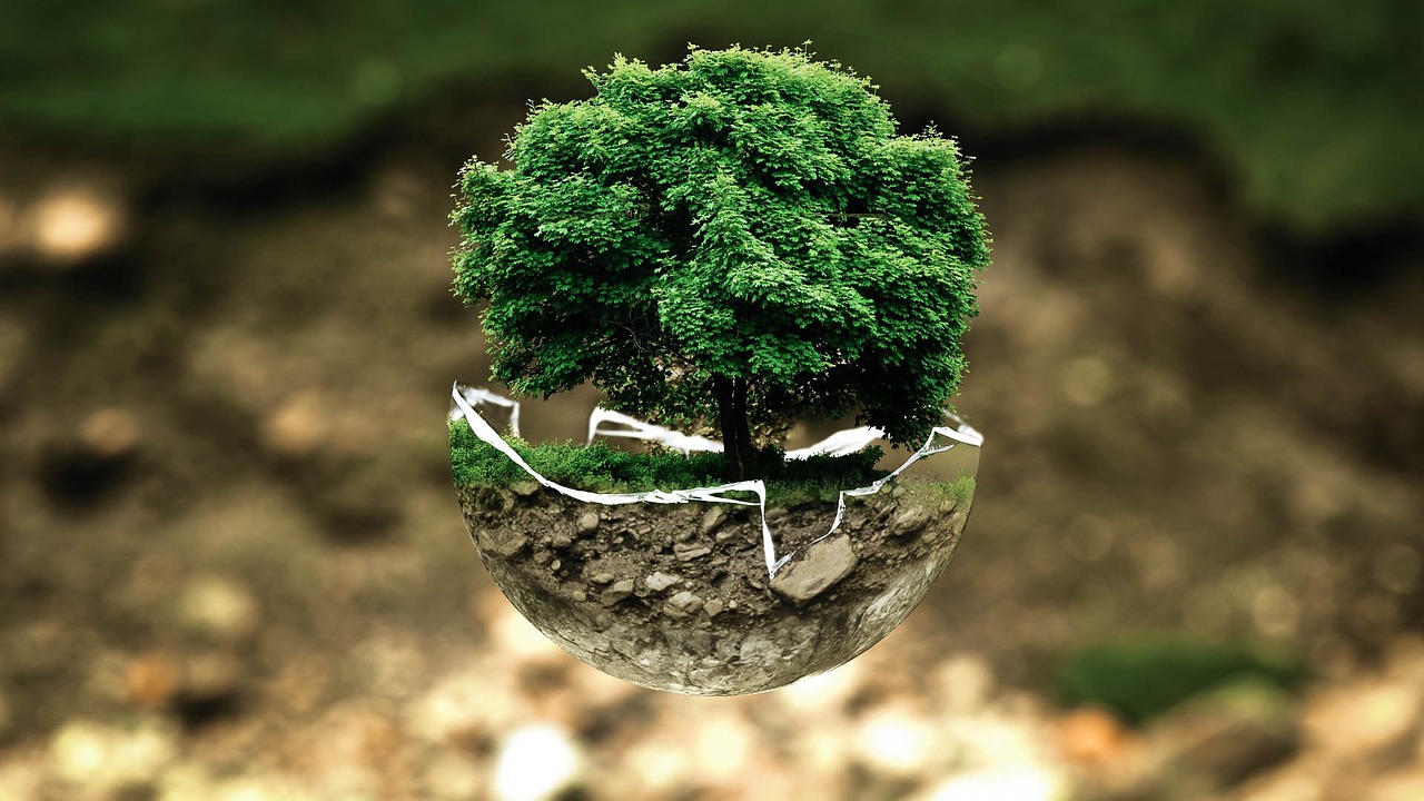Système de santé environnemental : Comprendre son impact sur notre bien-être