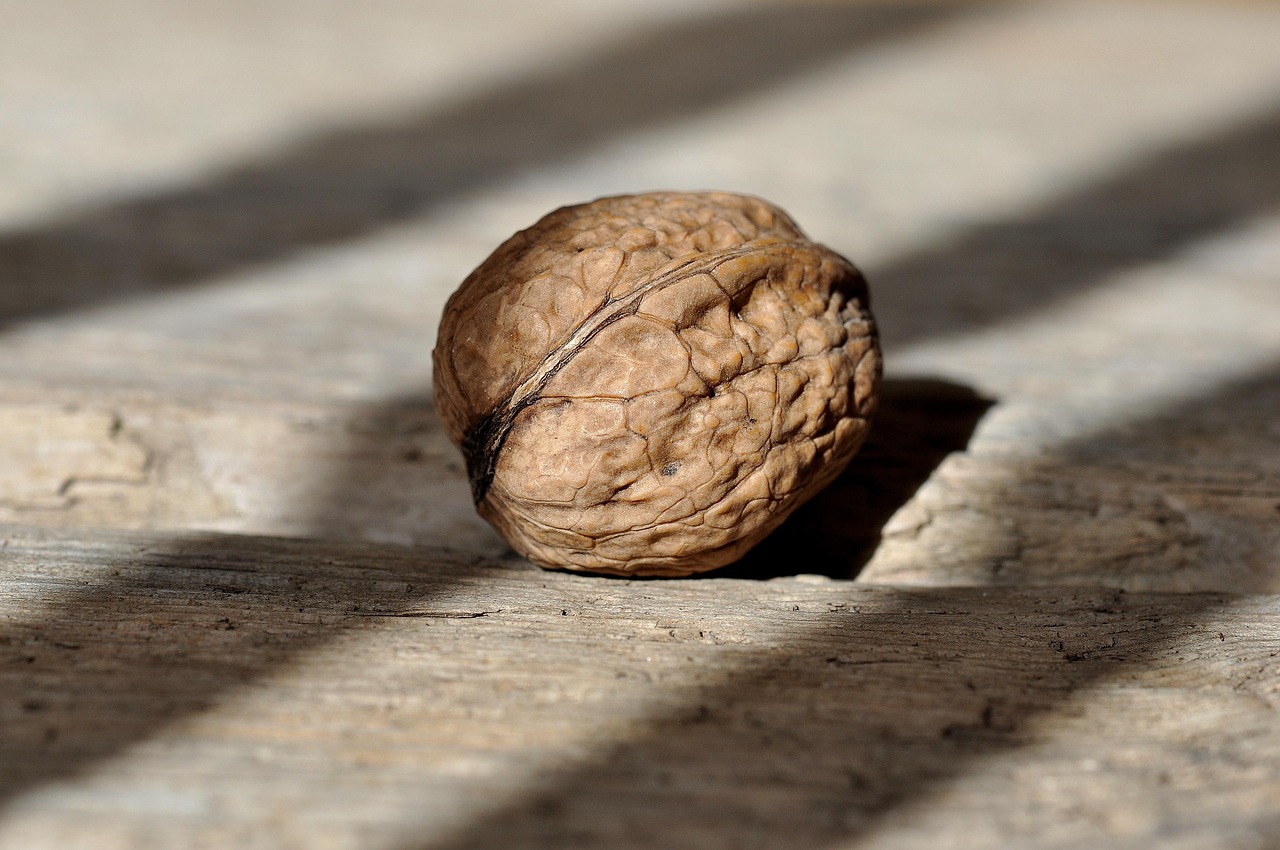 Produits recyclés : 5 idées innovantes pour intégrer le développement durable dans votre quotidien