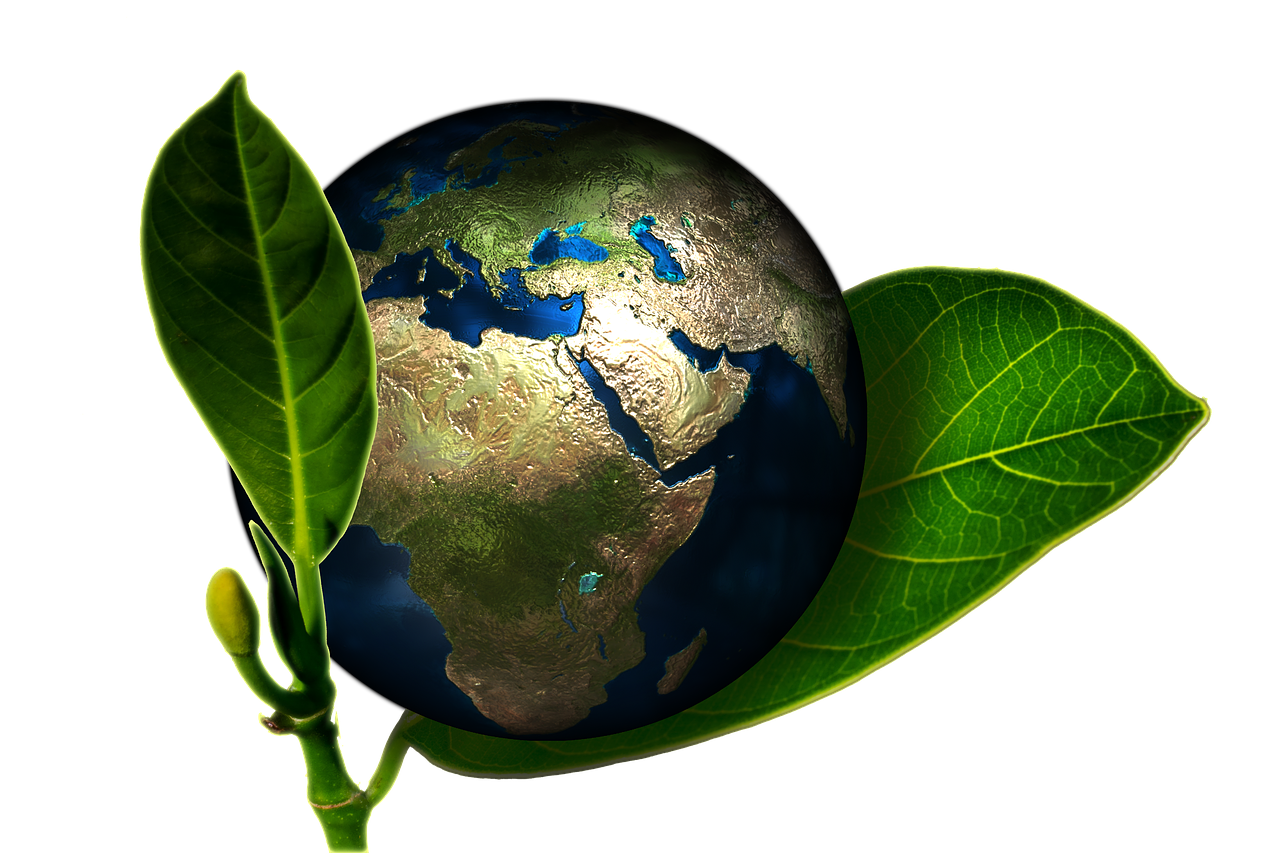 L’impact environnemental de l’intelligence artificielle