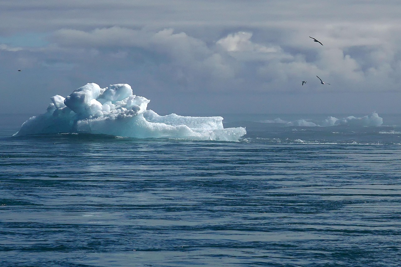 Changement climatique et transition énergétique : relever le défi de la décarbonation