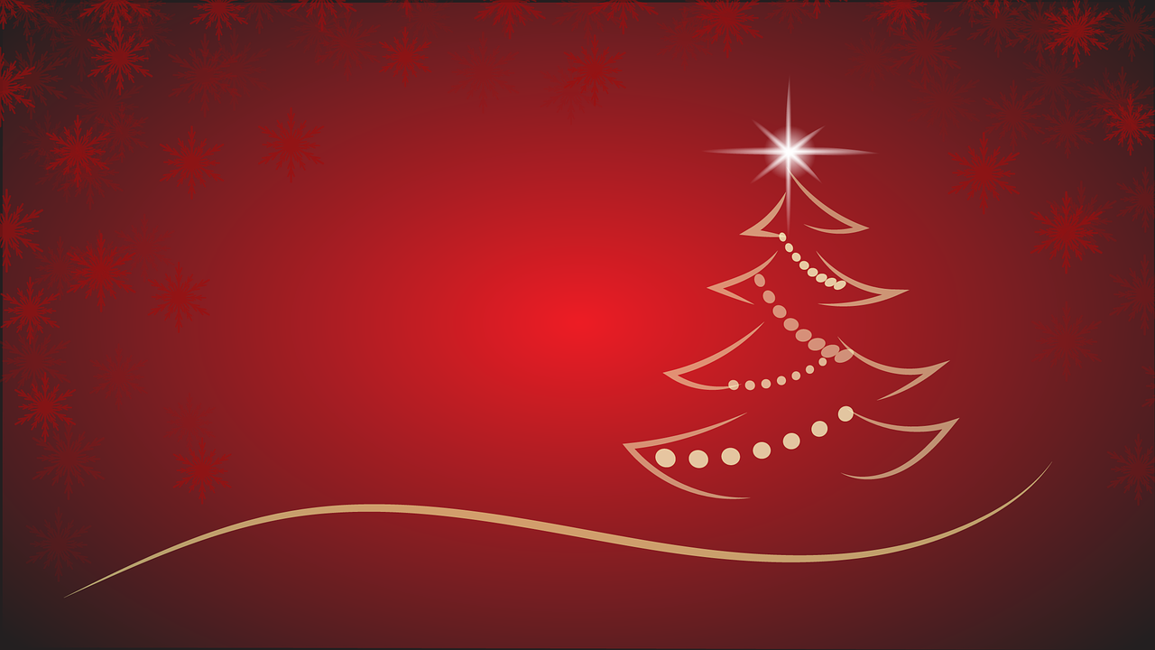 Sapin de Noël : le duel écologique entre le naturel et le synthétique