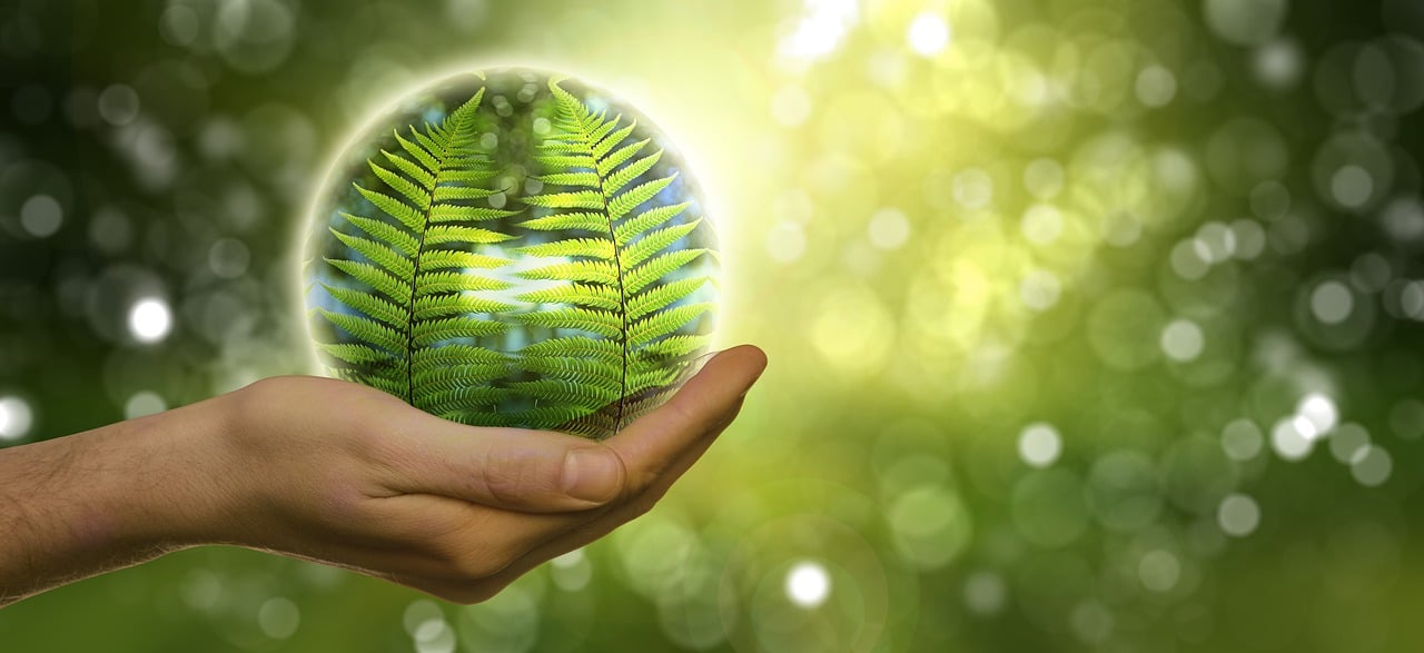 Notre dévouement envers la protection de l’environnement