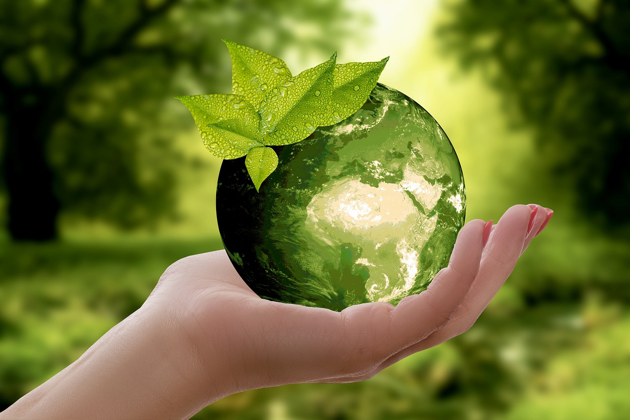 Benchmarking environnemental : Optimiser la durabilité de votre entreprise
