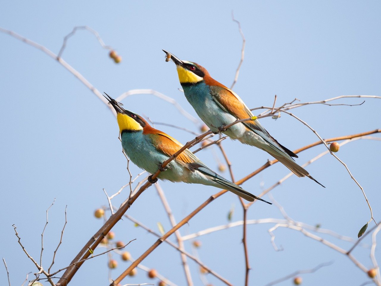 Changement des écosystèmes : comprendre les impacts sur la biodiversité