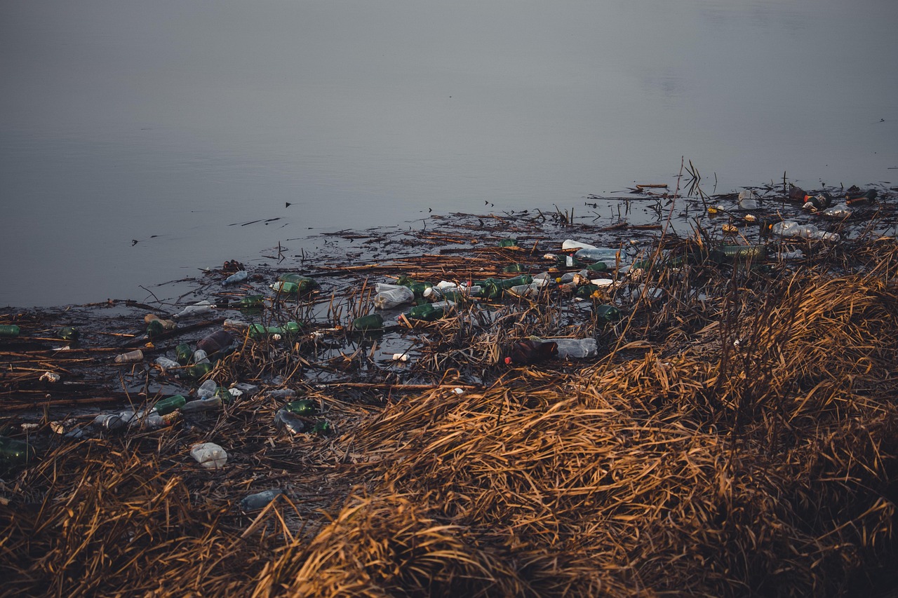 Pollution : Comprendre ses impacts sur notre santé et notre environnement