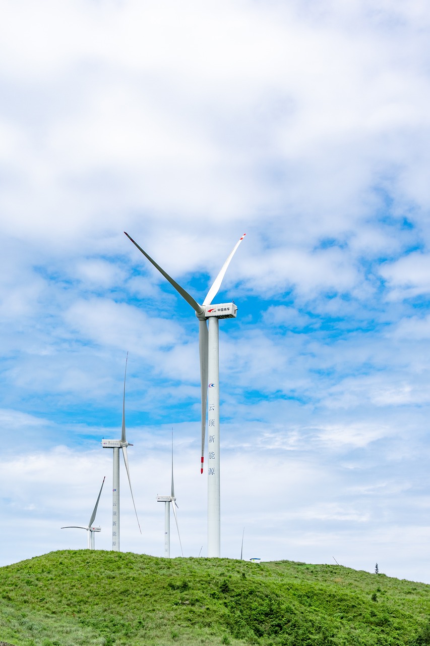 Énergie durable : enjeux et solutions pour une décarbonation réussie des entreprises et de l’industrie