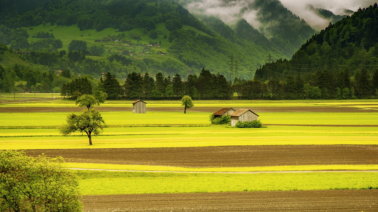 Fermes urbaines : une solution durable pour la production alimentaire en milieu citadin