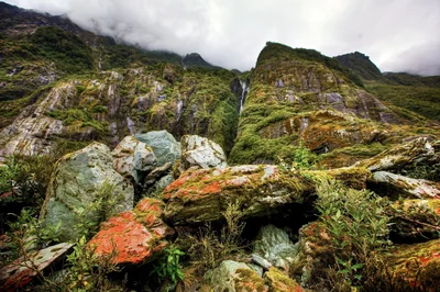 La forêt tropicale du Congo, nouvel émetteur majeur de carbone : un tournant pour l’écosystème africain