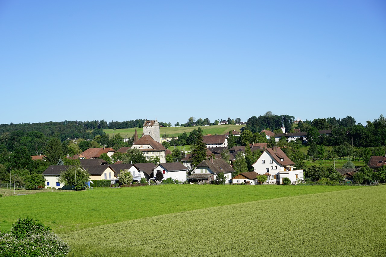 Comment les communautés locales peuvent influencer le bilan carbone des énergies renouvelables