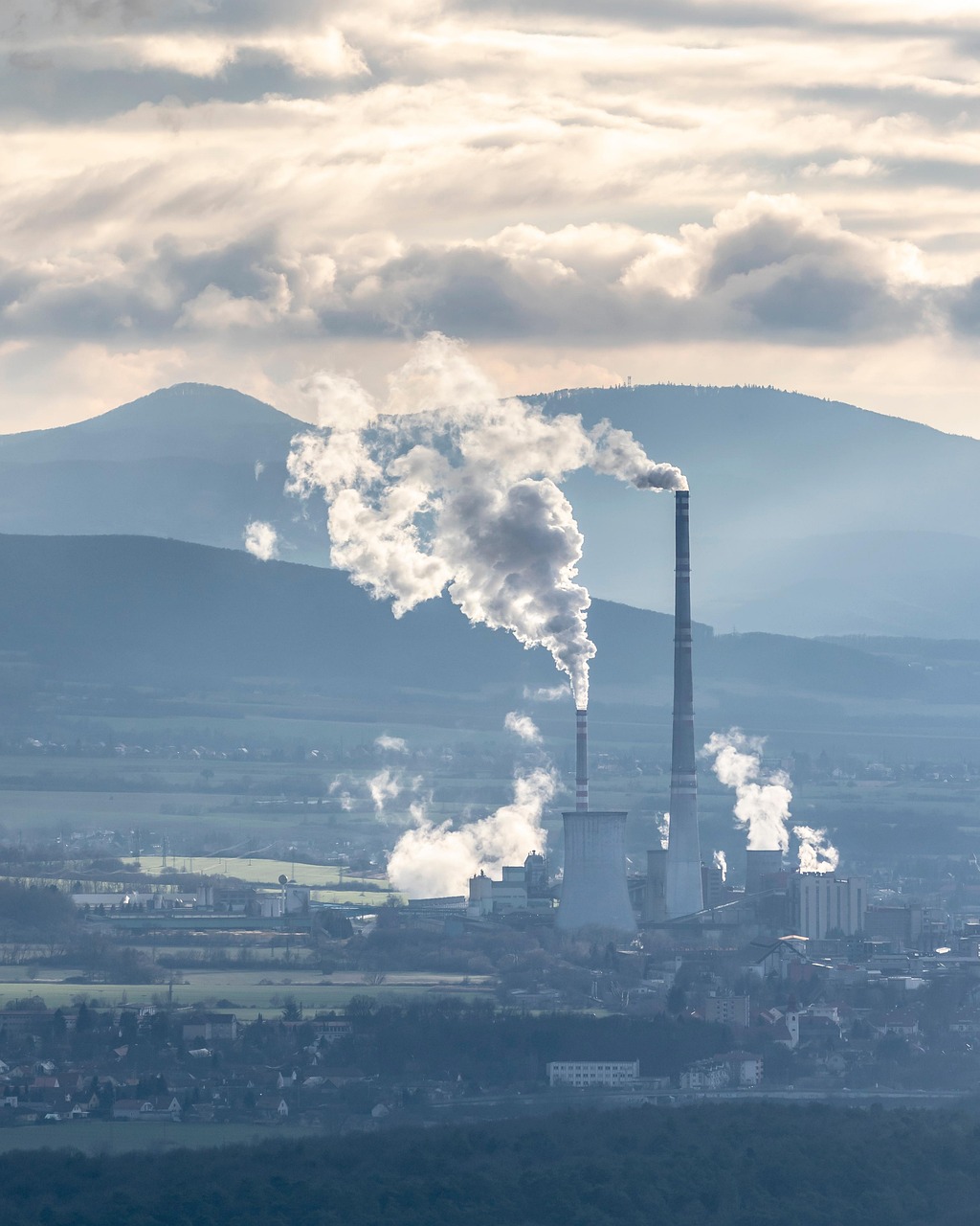 Comprendre le concept de neutralité carbone