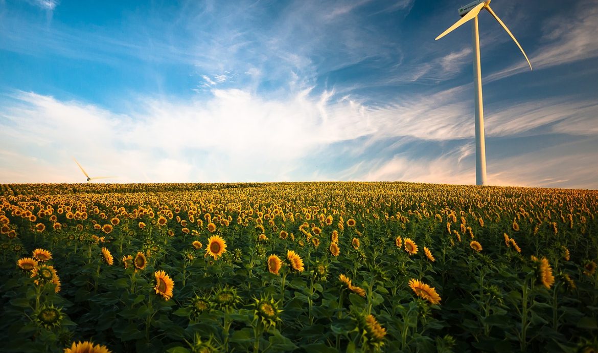 découvrez l'avenir de l'énergie renouvelable avec les parcs éoliens en mer. apprenez comment ces installations innovantes contribuent à la transition énergétique, réduisent les émissions de carbone et offrent une source d'énergie durable et fiable.