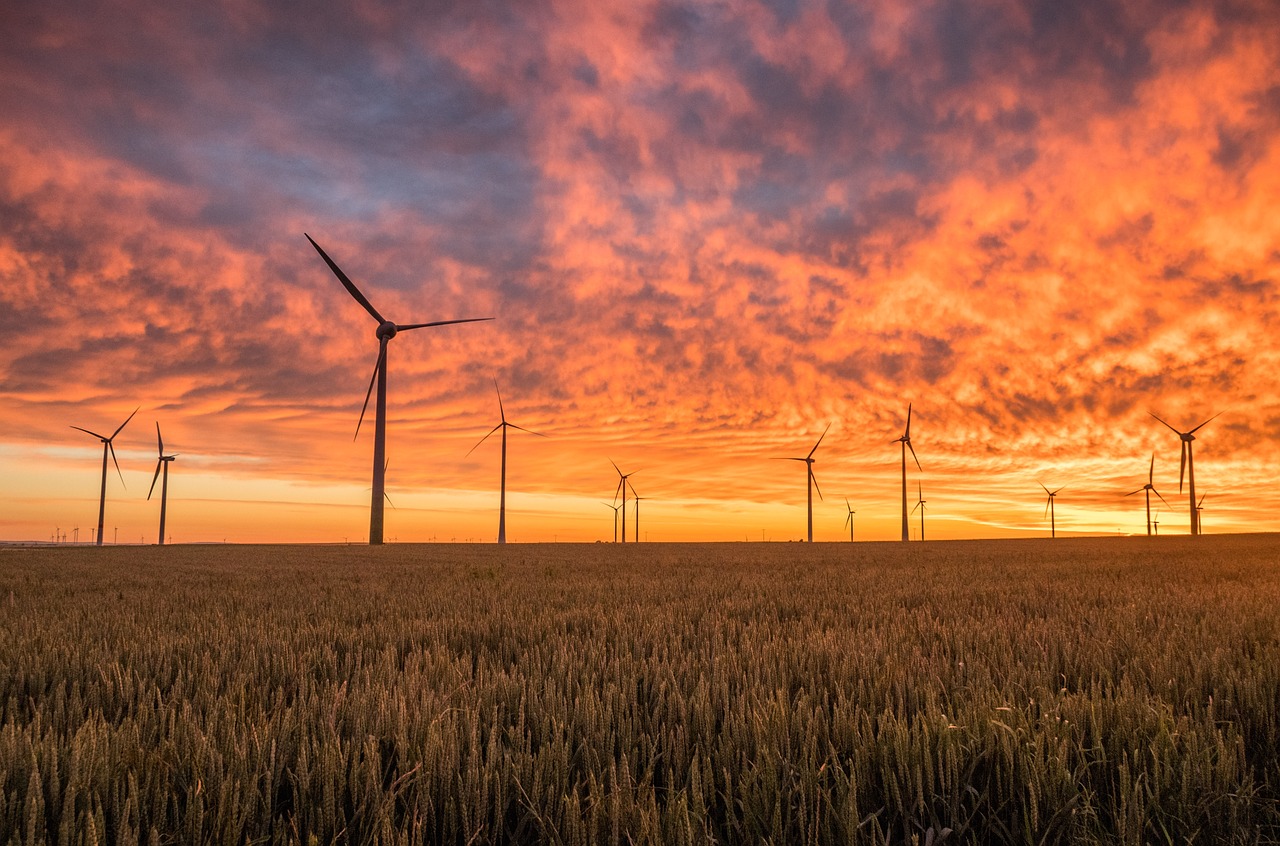 découvrez l'énergie éolienne, une source d'énergie renouvelable incontournable pour un avenir durable. apprenez comment les éoliennes transforment le vent en électricité et contribuent à la lutte contre le changement climatique.