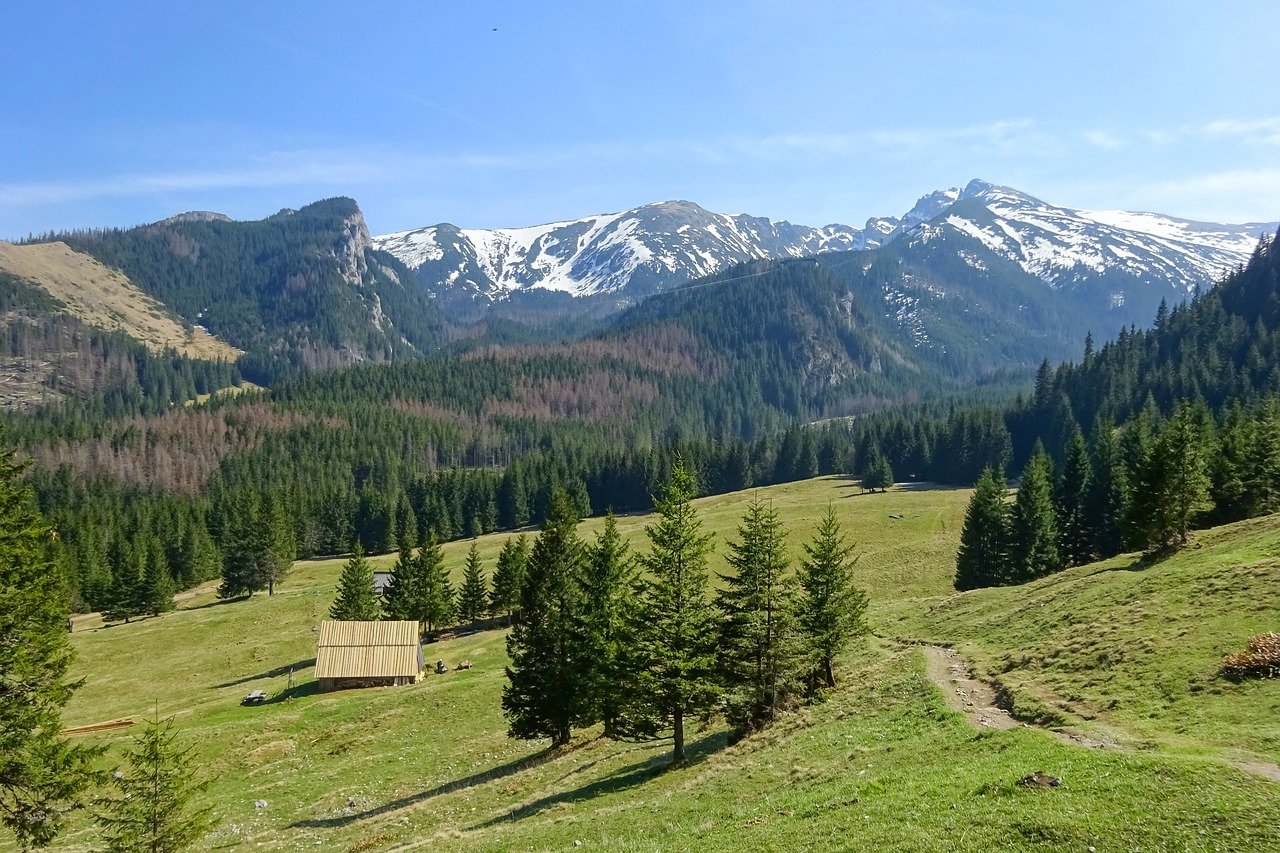 découvrez les merveilles du tourisme à travers le monde ! explorez des destinations captivantes, enrichissez vos expériences culturelles et laissez-vous inspirer par des paysages à couper le souffle. que vous soyez en quête d'aventures, de repos ou de découvertes gastronomiques, le tourisme offre une infinité d'opportunités pour tous les voyageurs.