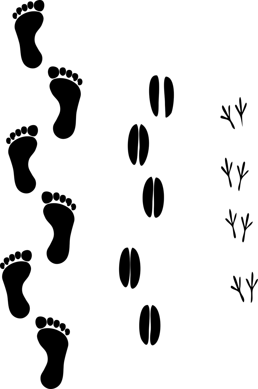 découvrez comment réduire votre empreinte carbone et contribuer à la protection de notre planète. apprenez des conseils pratiques et des stratégies efficaces pour diminuer votre impact environnemental au quotidien.