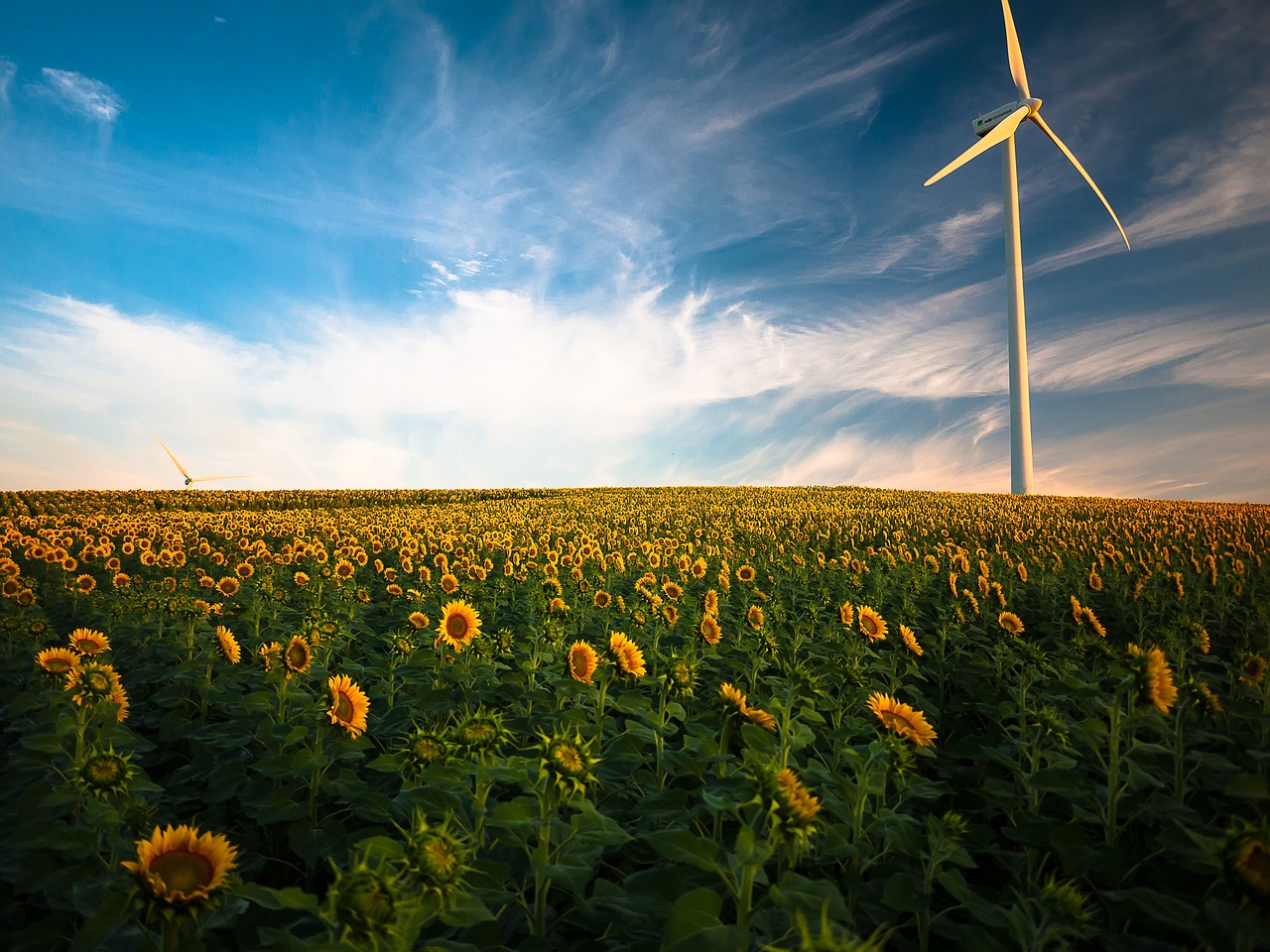 découvrez les avantages et les innovations des énergies renouvelables, une solution durable pour préserver notre planète et réduire notre empreinte carbone. explorez les différentes sources d'énergie verte et leur impact sur l'avenir énergétique.