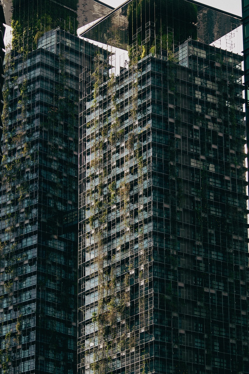 découvrez comment la durabilité façonne notre avenir. explorez des solutions innovantes et des pratiques responsables pour préserver notre planète tout en répondant aux besoins des générations actuelles et futures.