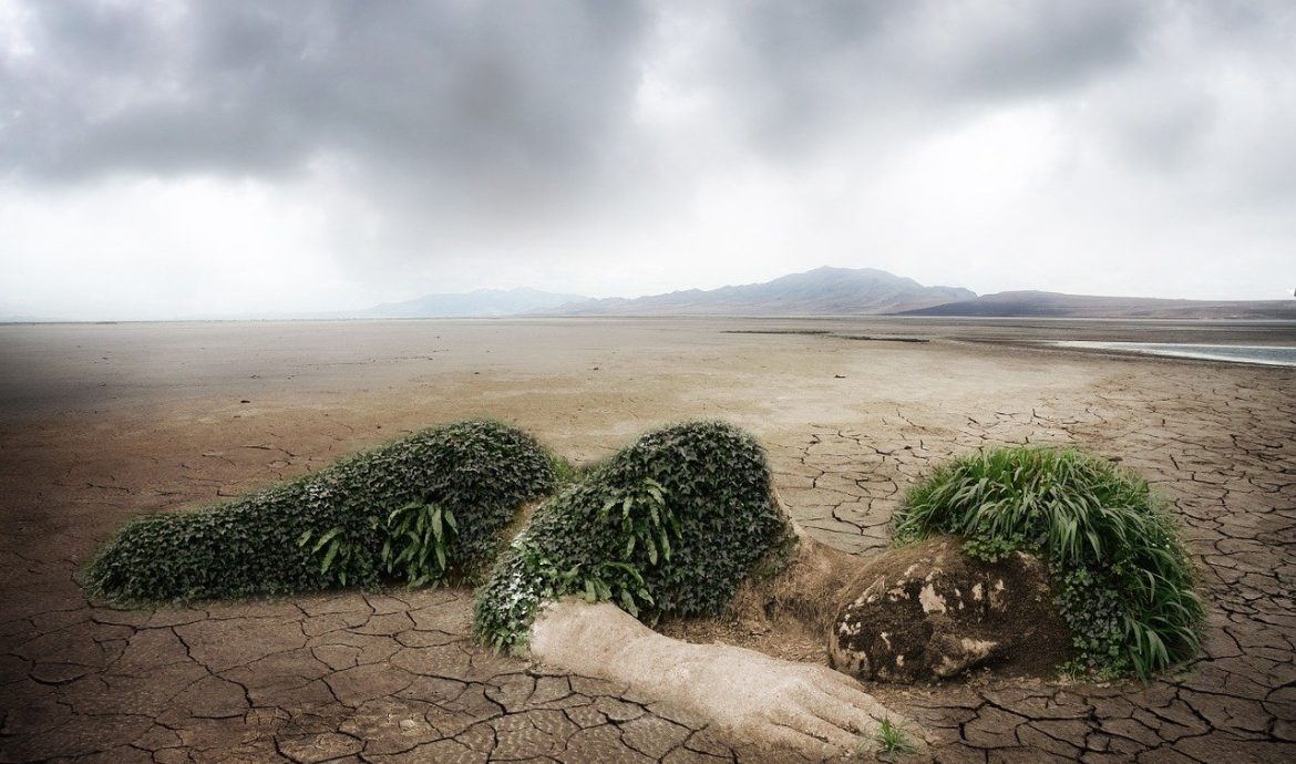 découvrez les limites environnementales et leur impact sur notre planète. apprenez comment ces frontières définissent les conditions nécessaires à la vie et comment notre société peut agir pour les respecter et protéger l'écosystème.