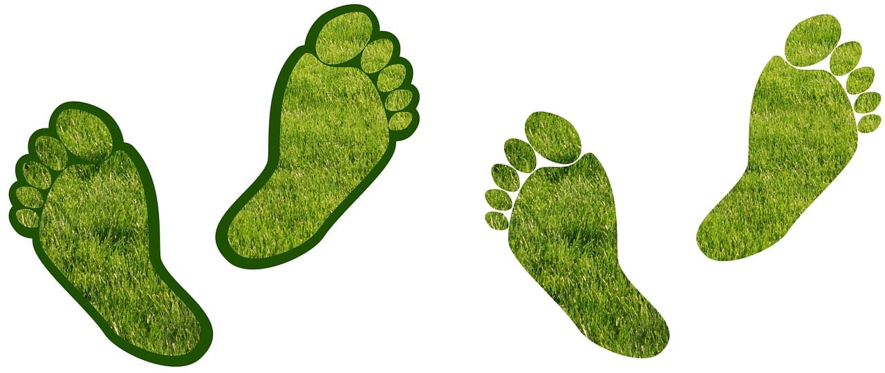 découvrez l'empreinte carbone : son impact sur l'environnement, les moyens de la mesurer et des astuces pour la réduire. engagez-vous pour un avenir durable en adoptant des pratiques écologiques.