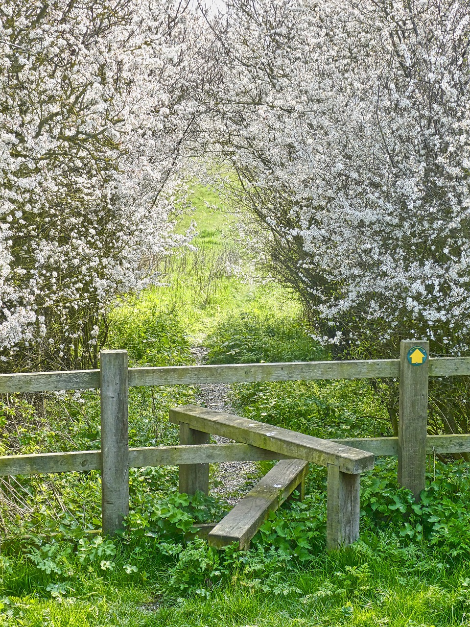 découvrez les limites environnementales qui régissent notre planète. apprenez comment ces frontières interagissent avec la biodiversité, les ressources naturelles et l'impact des activités humaines. explorez des solutions pour respecter ces limites et garantir un avenir durable.