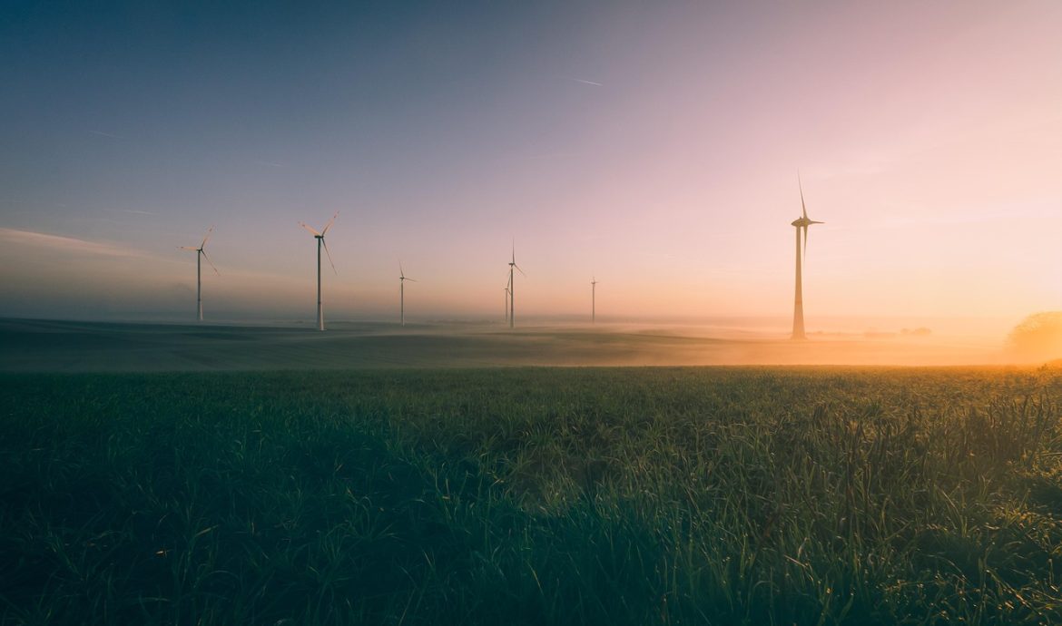 découvrez notre engagement pour la protection de l'environnement. explorez des conseils pratiques, des initiatives écologiques et des solutions durables pour un avenir plus vert.