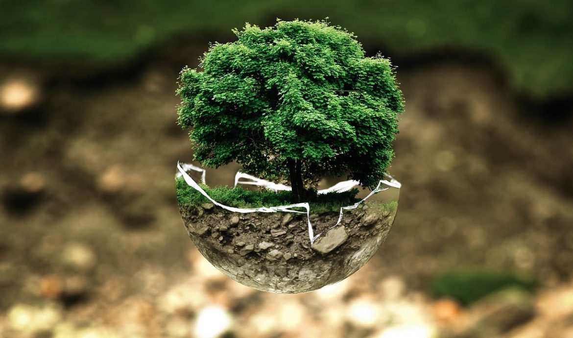 découvrez des outils d'évaluation environnementale efficaces pour analyser l'impact de vos projets et prendre des décisions éclairées. optimisez vos stratégies écologiques grâce à des solutions innovantes et adaptées à vos besoins.