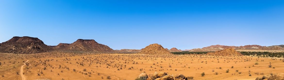 découvrez l'importance des ressources terrestres et leur impact sur l'environnement et l'économie. apprenez comment gérer durablement les sols, les forêts et les ressources naturelles pour un avenir plus vert.