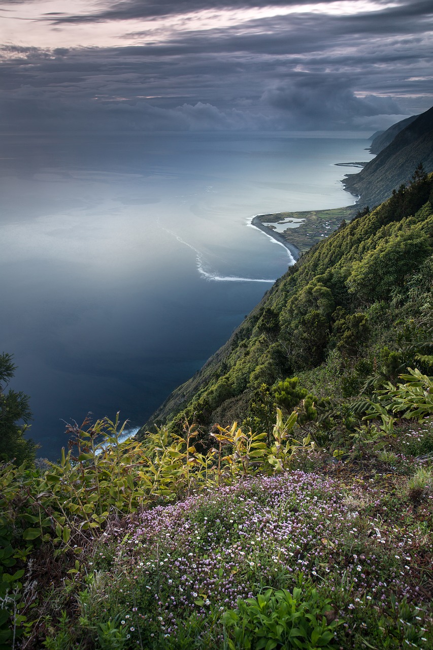 découvrez la richesse de la biodiversité, essentiel à l'équilibre de notre planète. apprenez comment les écosystèmes variés interagissent et l'importance de leur préservation pour l'avenir de notre environnement.