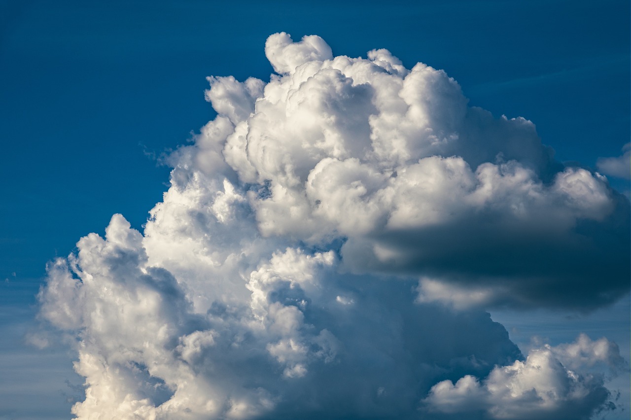 découvrez comment les fonds climatiques soutiennent la lutte contre le changement climatique, financent des projets durables et favorisent la transition vers une économie verte. explorez les initiatives, les enjeux et les opportunités offertes par ces investissements essentiels pour un avenir durable.