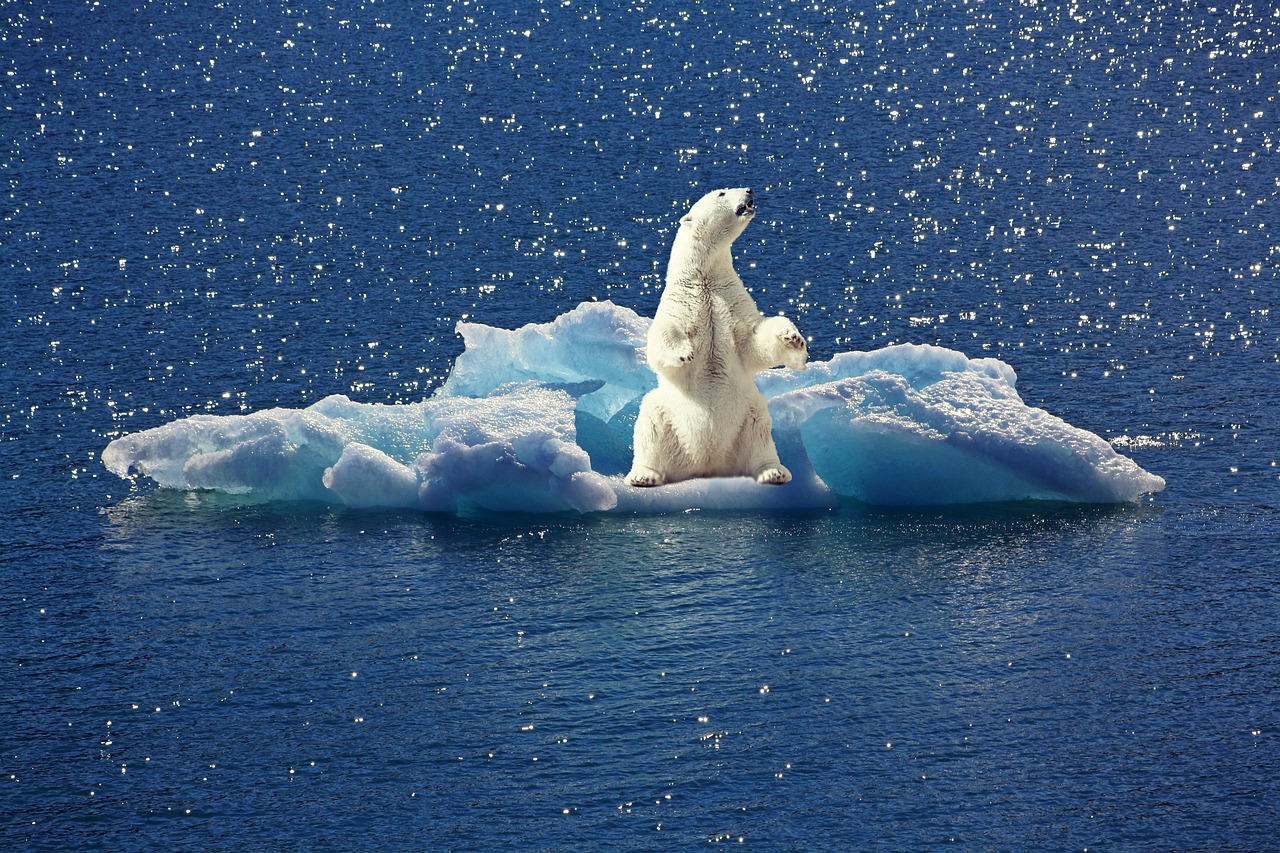 découvrez les fonds climatiques : des investissements cruciaux pour la lutte contre le changement climatique, visant à soutenir des projets durables et à favoriser la transition vers une économie verte.