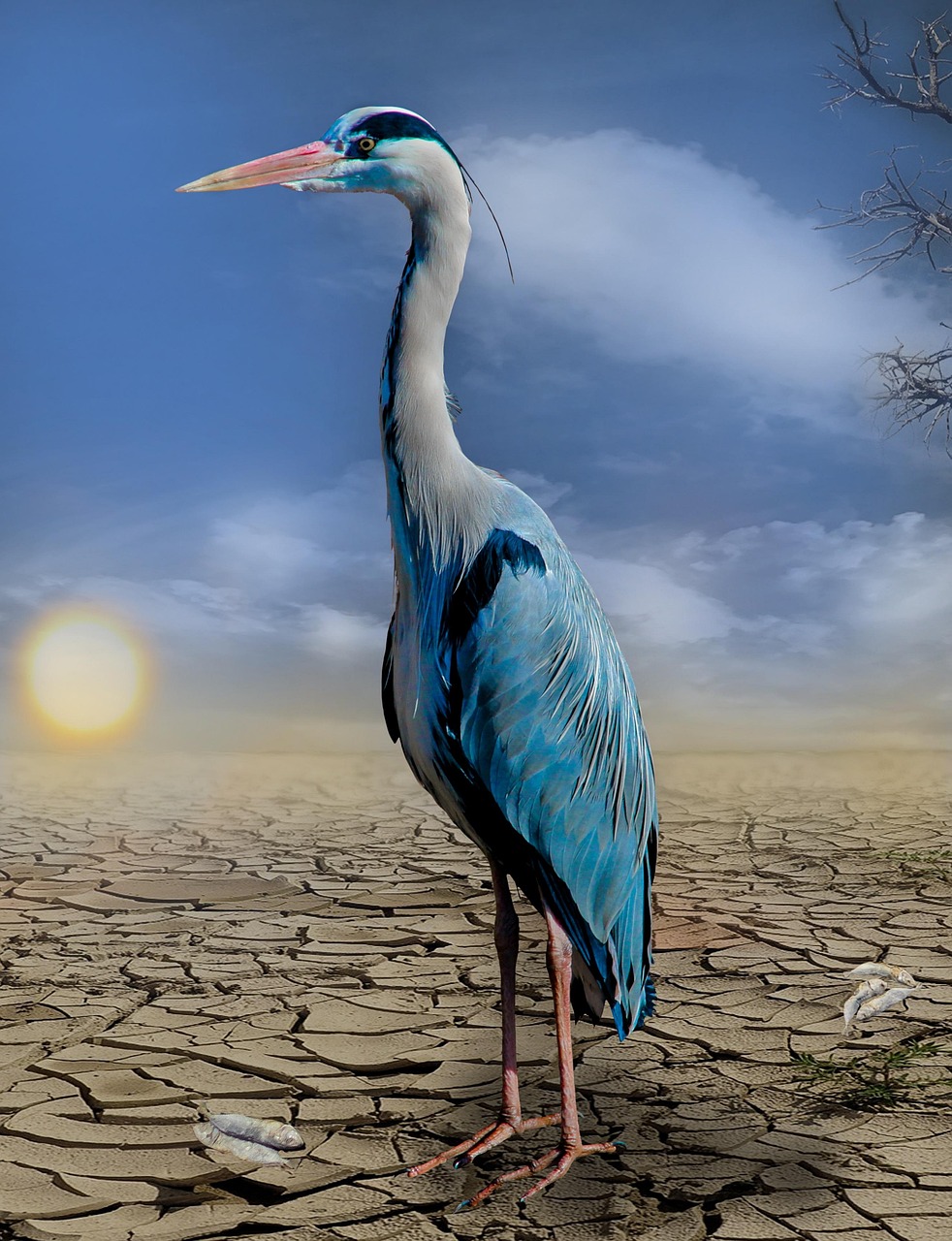 découvrez les dernières avancées en matière de recherche climatique, explorant les impacts du changement climatique, les solutions durables et les innovations scientifiques qui façonnent notre avenir. rejoignez-nous dans l'exploration d'études approfondies et de nouvelles tendances au cœur de la recherche sur le climat.