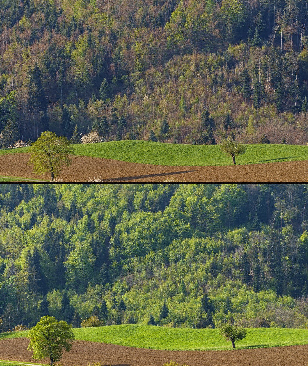 découvrez les co-bénéfices, ces avantages collatéraux indissociables d'une action, qui maximisent l'impact positif sur l'environnement et la société. apprenez comment ces synergies peuvent renforcer vos initiatives durables tout en améliorant la qualité de vie.