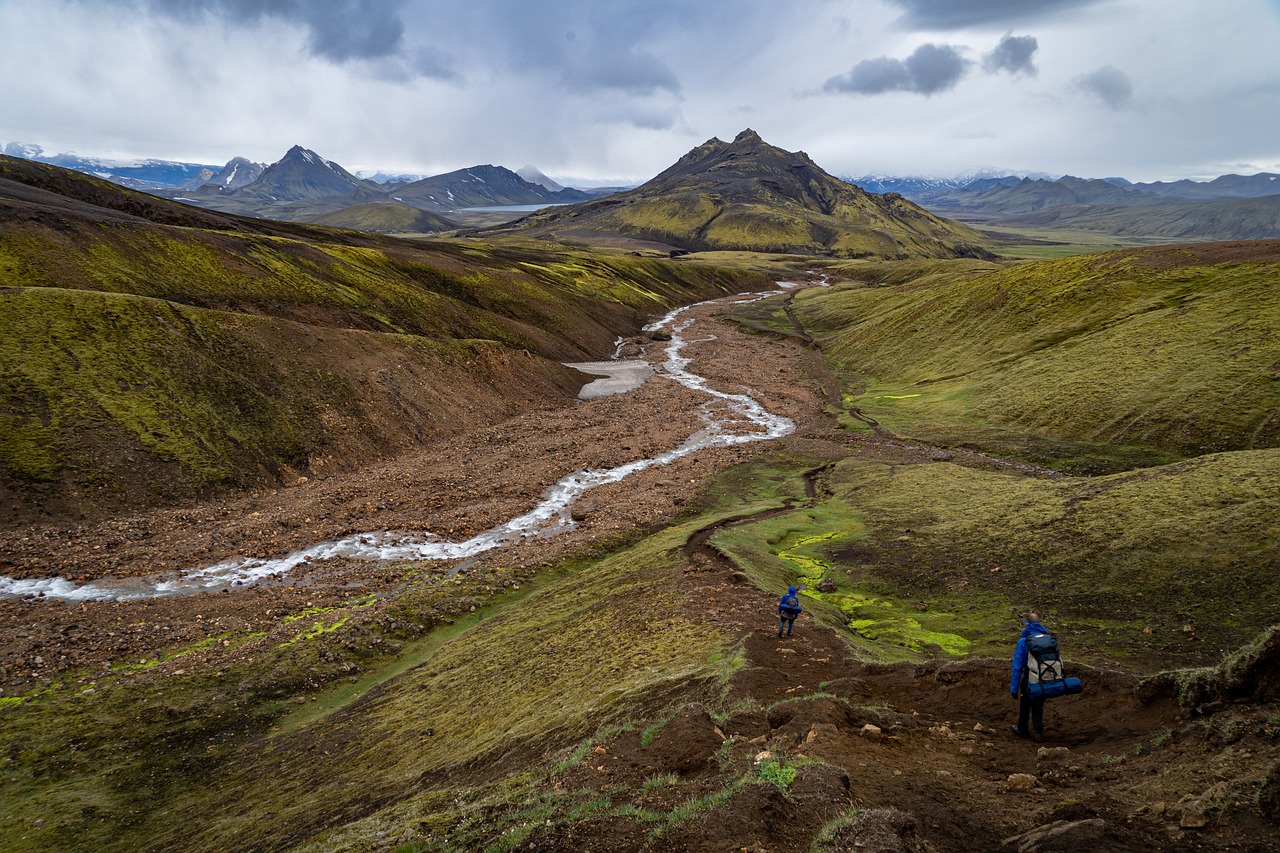 découvrez les meilleures pratiques de réhabilitation des terres pour restaurer les écosystèmes dégradés, améliorer la biodiversité et favoriser un développement durable. apprenez comment transformer des espaces abîmés en zones florissantes et productives.
