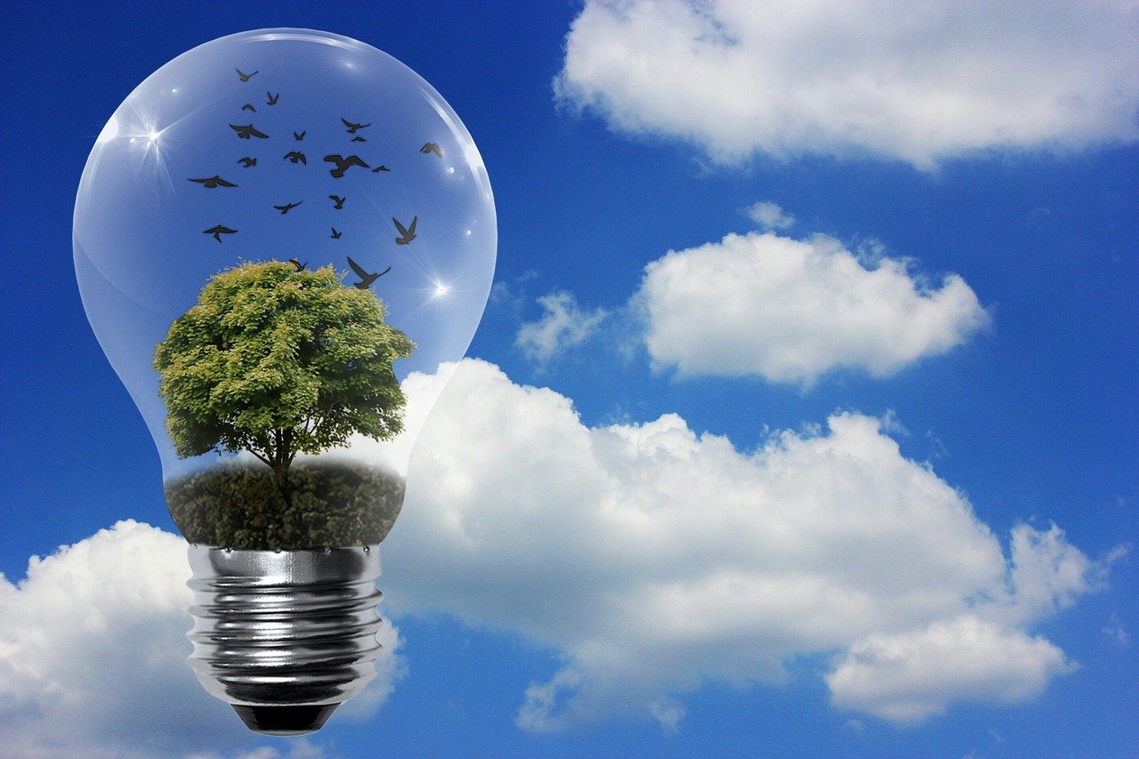 découvrez les sources d'énergie renouvelable, leurs avantages et leur impact positif sur l'environnement. apprenez comment ces alternatives durables peuvent contribuer à un avenir plus vert et à la lutte contre le changement climatique.