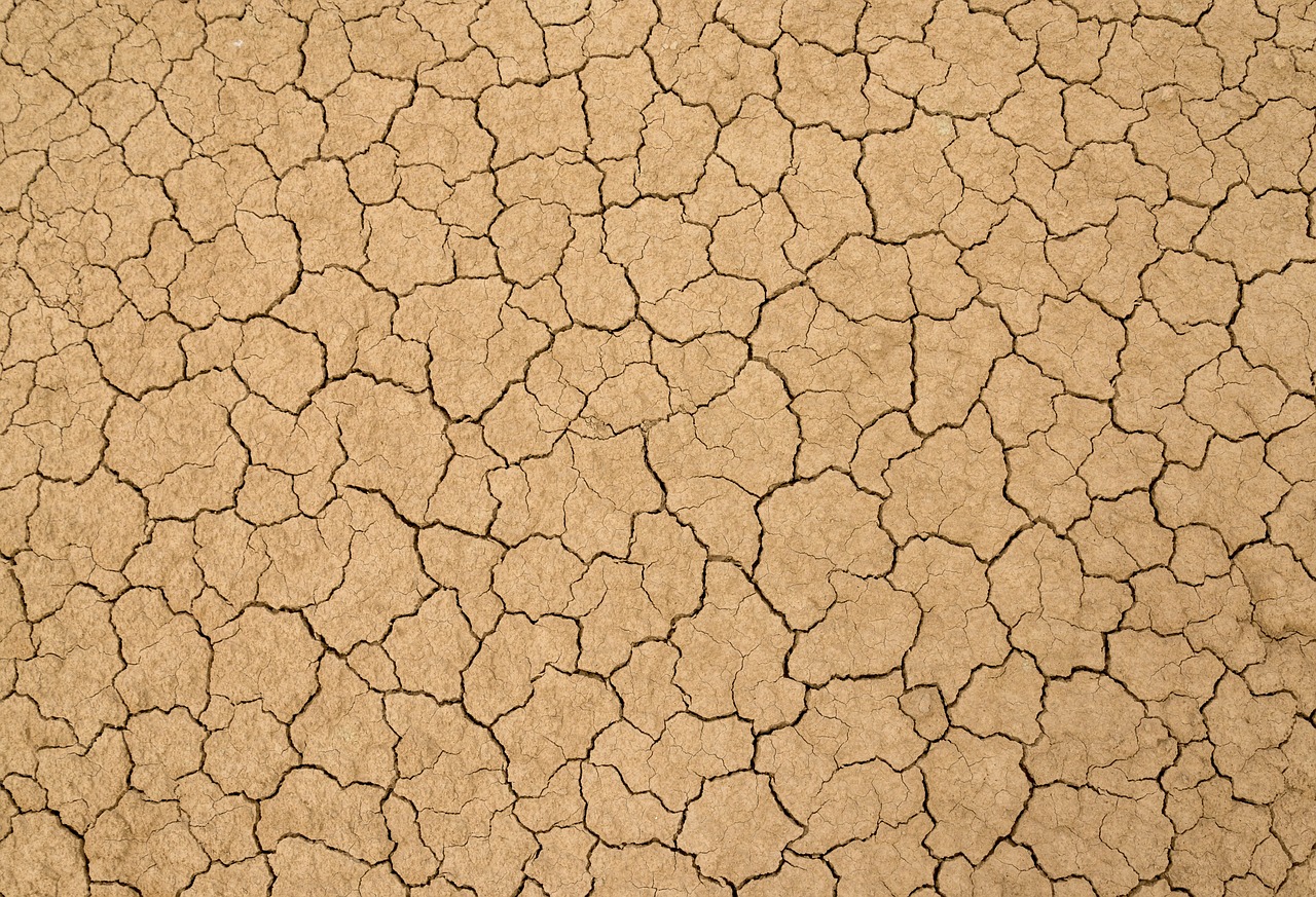 découvrez les enjeux de la pollution des sols, ses causes et ses conséquences sur l'environnement et la santé humaine. informez-vous sur des solutions durables pour lutter contre cette problématique croissante.
