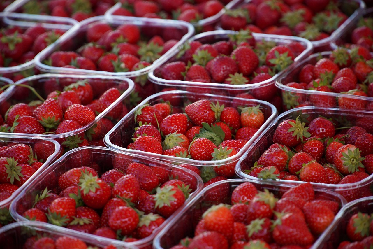 découvrez les pratiques de l'agriculture durable, une approche respectueuse de l'environnement qui vise à produire des aliments de manière responsable tout en préservant les ressources naturelles pour les générations futures.