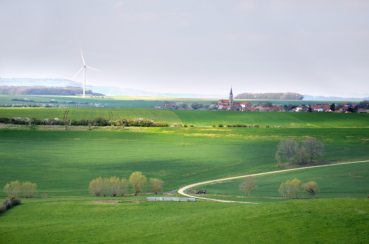 découvrez les principes du développement durable, une approche essentielle pour préserver notre planète tout en promouvant le progrès économique et social. apprenez comment intégrer des pratiques durables dans votre quotidien.