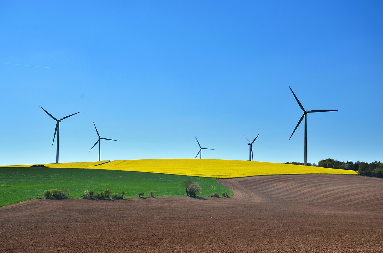 découvrez les enjeux et les initiatives autour des territoires durables. apprenez comment allier développement économique, préservation de l'environnement et bien-être des communautés pour construire un avenir plus responsable et résilient.