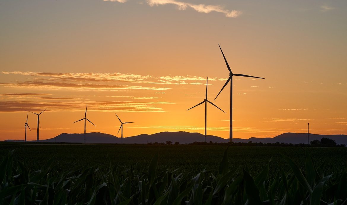 découvrez l'alimentation durable : des pratiques qui préservent l'environnement tout en offrant des choix sains et savoureux. apprenez à privilégier les produits locaux et bio pour un impact positif sur notre planète.