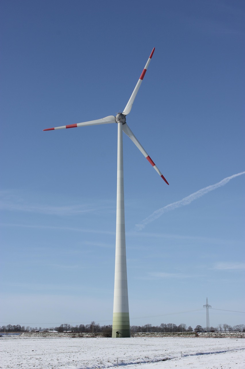 découvrez les clés de la durabilité pour un avenir meilleur. explorez des pratiques et des solutions innovantes pour protéger notre planète tout en favorisant une croissance économique responsable.