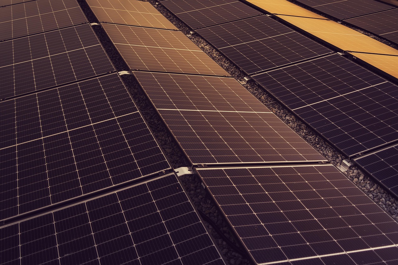 découvrez l'importance de la durabilité et comment adopter des pratiques écoresponsables pour préserver notre planète. explorez des solutions innovantes, des conseils pratiques et des exemples inspirants pour un avenir plus vert.