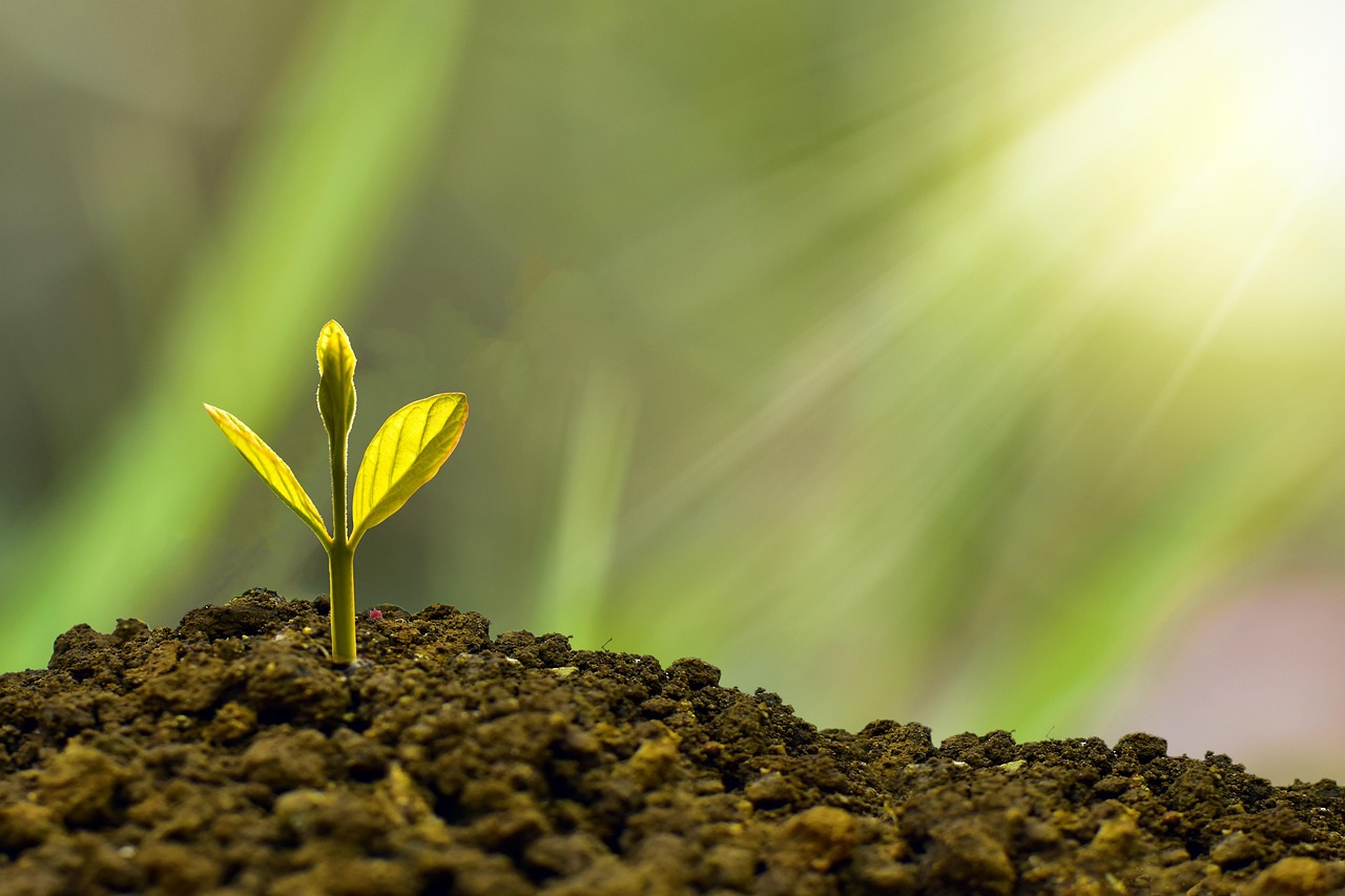 découvrez les pratiques de durabilité qui préservent notre planète. explorez les innovations et stratégies pour un avenir écoresponsable et participez à la protection de l'environnement tout en répondant aux besoins des générations actuelles et futures.